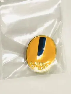 2026年最新】柱展 ピンズの人気アイテム - メルカリ