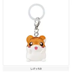 2026年最新】ハムスター倶楽部 しげっちの人気アイテム - メルカリ