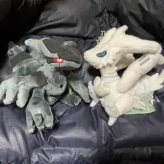 2026年最新】ゼクロム ぬいぐるみの人気アイテム - メルカリ