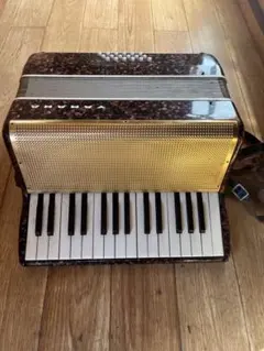 2026年最新】yamaha アコーディオンの人気アイテム - メルカリ