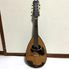 2026年最新】国島 マンドリンの人気アイテム - メルカリ