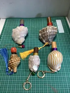 2026年最新】法螺貝 笛の人気アイテム - メルカリ