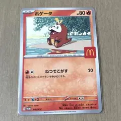 2026年最新】ホゲータ プロモの人気アイテム - メルカリ