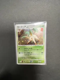2026年最新】リーフィアLvの人気アイテム - メルカリ