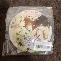 2026年最新】柳愛時 缶バッジの人気アイテム - メルカリ