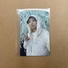 2026年最新】sector ウォヌの人気アイテム - メルカリ