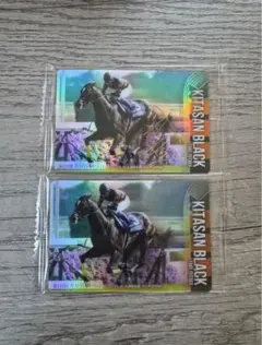 2026年最新】サラブレッドホースコレクション キタサンブラック サイン