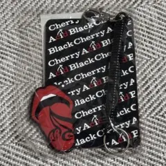 2026年最新】acid black cherry キーホルダーの人気アイテム - メルカリ