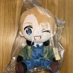 2026年最新】ヘタリアBIGぬいぐるみの人気アイテム - メルカリ