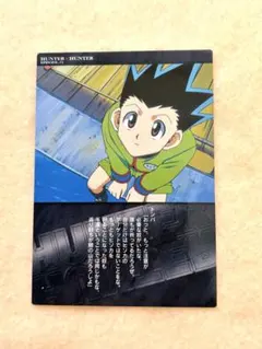 2026年最新】ハンターハンター カードダス ゴンの人気アイテム - メルカリ