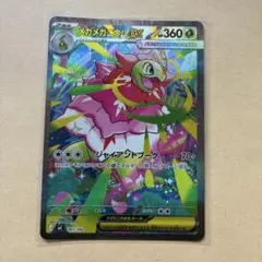 2026年最新】メガメガニウム ex SARの人気アイテム - メルカリ