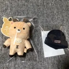 2026年最新】RIIZEソンチャン ドールの人気アイテム - メルカリ