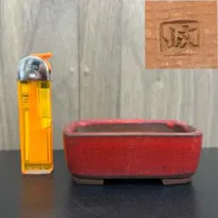 2026年最新】盆栽 鉢 落款の人気アイテム - メルカリ