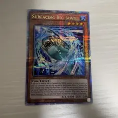 2026年最新】泰亜 25thの人気アイテム - メルカリ