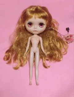 2026年最新】ネオブライス ランデヴーシュシュの人気アイテム - メルカリ