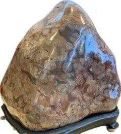 2026年最新】飛騨菊紋石の人気アイテム - メルカリ