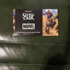 2026年最新】secret lair 未開封の人気アイテム - メルカリ