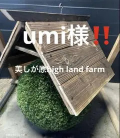 2026年最新】杉玉の人気アイテム - メルカリ