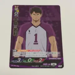 2026年最新】バボカ 牛島若利の人気アイテム - メルカリ