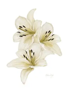 2026年最新】アロハデメレの人気アイテム - メルカリ