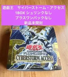 2026年最新】サイバーストームアクセス boxの人気アイテム - メルカリ