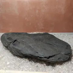 2026年最新】瀬田川石の人気アイテム - メルカリ