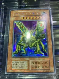 2026年最新】グレートモス初期の人気アイテム - メルカリ