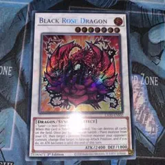 2026年最新】ブラックローズドラゴン 英語版の人気アイテム - メルカリ