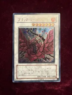 2026年最新】アルティメット ブラックローズの人気アイテム - メルカリ