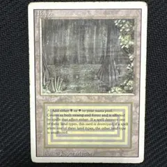 2026年最新】mtg bayouの人気アイテム - メルカリ