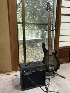 2026年最新】fernandes ギター ジャンクの人気アイテム - メルカリ