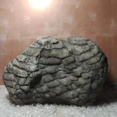 2026年最新】瀬田川石の人気アイテム - メルカリ