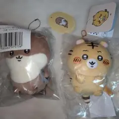 2026年最新】ナガノ くじ 特賞の人気アイテム - メルカリ