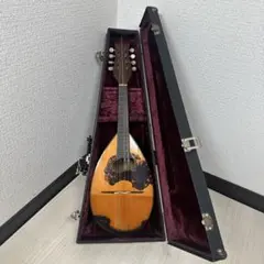 2026年最新】渡辺 マンドリンの人気アイテム - メルカリ