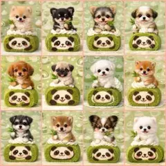 2026年最新】トイプードル生地の人気アイテム - メルカリ