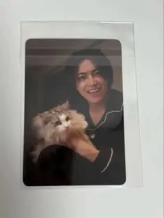 2026年最新】スティーブンノル 超特急の人気アイテム - メルカリ