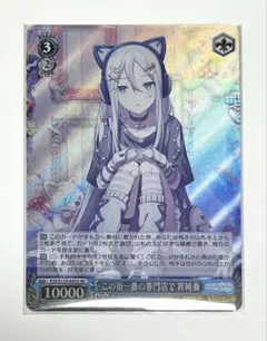 2026年最新】ヴァイスsrの人気アイテム - メルカリ