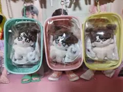 2026年最新】マスター ぬいぐるみ ジョングクの人気アイテム - メルカリ