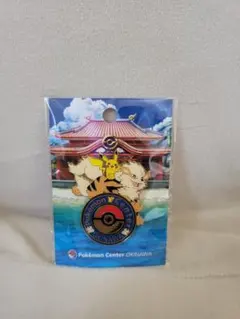 2026年最新】ポケモン ピンズ -沖縄 -ポケモンセンター沖縄の人気