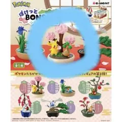 2026年最新】ぽけっとBONSAIの人気アイテム - メルカリ