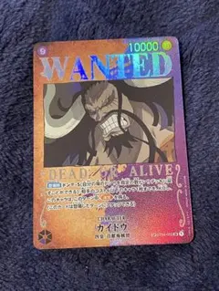 2026年最新】カイドウスペシャルカードの人気アイテム - メルカリ