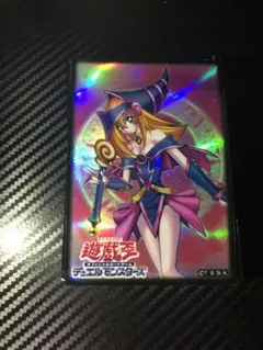 2026年最新】遊戯 スリーブ 決闘王の記憶の人気アイテム - メルカリ