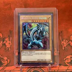 2026年最新】青眼の白龍 ct14の人気アイテム - メルカリ