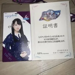 2026年最新】矢久保美緒 チケットホルダーの人気アイテム - メルカリ
