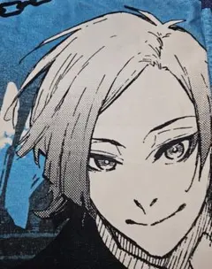 2026年最新】ブルーロック展 カイザー タオルの人気アイテム - メルカリ