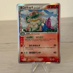 2026年最新】ルンパッパ デルタ種の人気アイテム - メルカリ