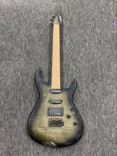 2026年最新】フェルナンデスギターの人気アイテム - メルカリ