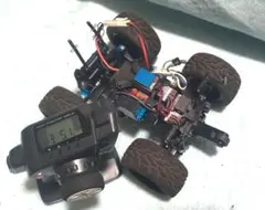 2026年最新】ワイルドウィリーの人気アイテム - メルカリ