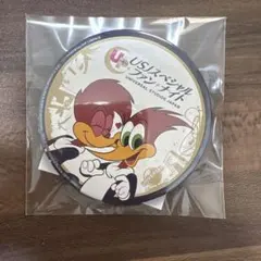 2026年最新】ウッドペッカー 缶バッジの人気アイテム - メルカリ