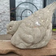 2026年最新】ワンダーデコール 鉢の人気アイテム - メルカリ